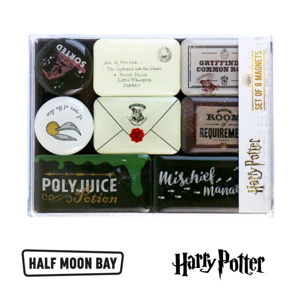 HARRY POTTER - MAGEHP04 Magnet Epoxy Set - Harry Potter Hogwarts Artifacts 1